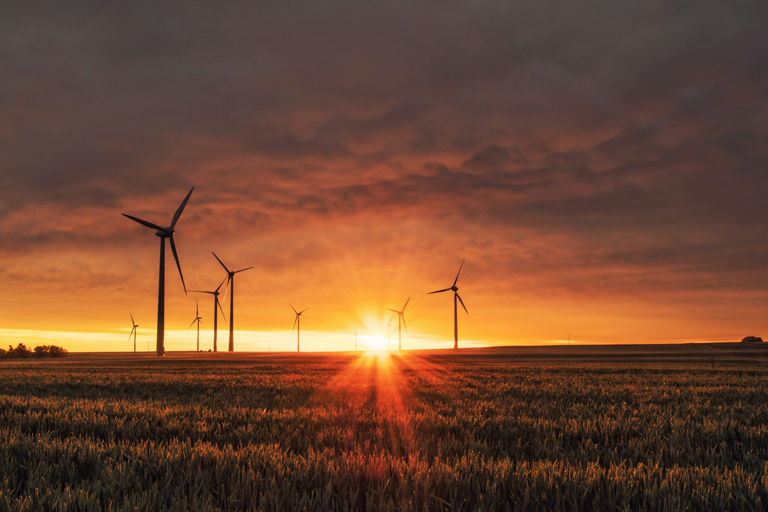 L&rsquo;impact du mode de vie écolo : Comment maximiser l&rsquo;efficacité énergétique avec les énergies renouvelables