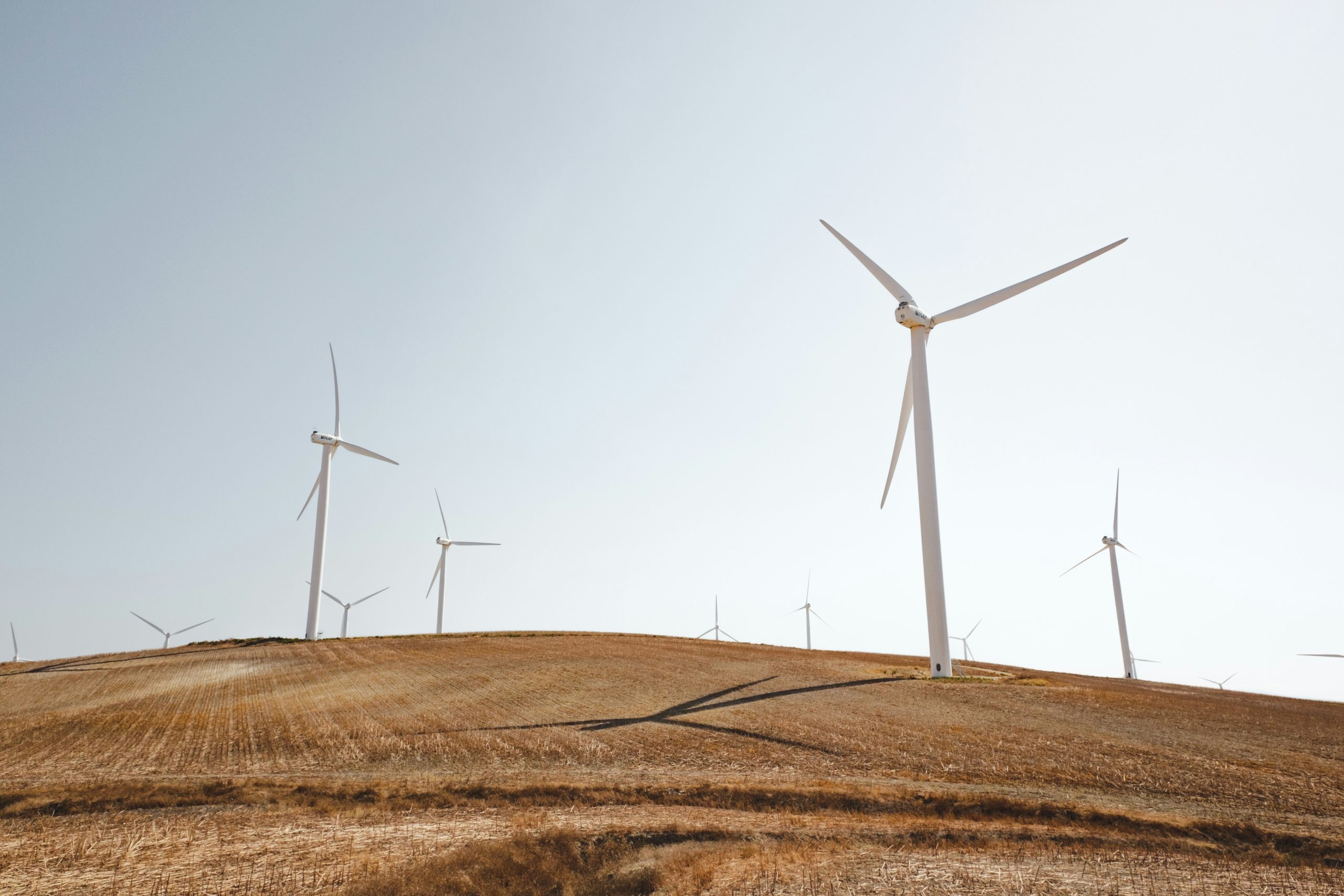Maîtriser le vent : énergie éolienne et durabilité
